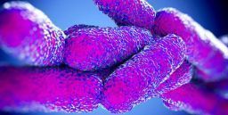Legionella: il batterio, i lavoratori a rischio e la prevenzione Legionella: il batterio, i lavoratori a rischio e la prevenzione