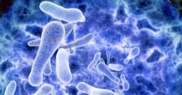 Rischi biologici: linee di indirizzo per la prevenzione della legionella Rischi biologici: linee di indirizzo per la prevenzione della legionella