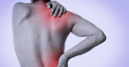 Si può? No, si deve! Un video sul rischio ergonomico Si può? No, si deve! Un video sul rischio ergonomico
