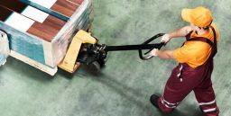Movimentazione dei carichi: trasporto manuale e azioni di traino o spinta Movimentazione dei carichi: trasporto manuale e azioni di traino o spinta