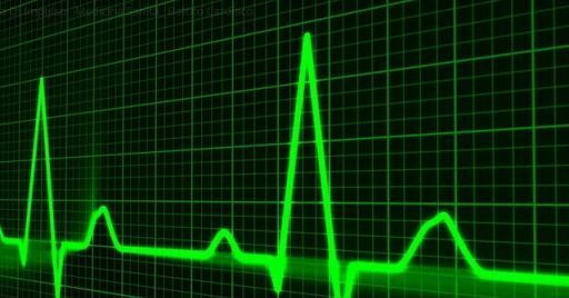 Si può valutare lo stress termico con il monitoraggio della frequenza cardiaca? Si può valutare lo stress termico con il monitoraggio della frequenza cardiaca?