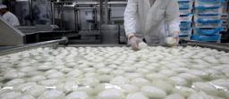 Sicurezza nella produzione di parmigiano, mozzarella, ricotta e burro Sicurezza nella produzione di parmigiano, mozzarella, ricotta e burro