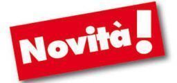 Le verifiche degli apparecchi di sollevamento materiali di tipo fisso Le verifiche degli apparecchi di sollevamento materiali di tipo fisso
