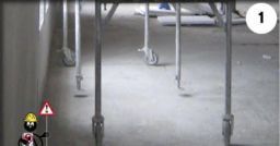 Le immagini dell’insicurezza Le immagini dell’insicurezza