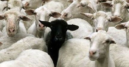 La gestione del collaboratore difficile nei luoghi di lavoro La gestione del collaboratore difficile nei luoghi di lavoro