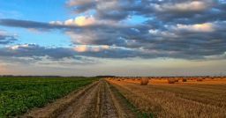 Sono efficaci i piani nazionali per la prevenzione in agricoltura? Sono efficaci i piani nazionali per la prevenzione in agricoltura?