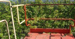 Agricoltura: una nuova norma per la sicurezza dei carri raccogli frutta Agricoltura: una nuova norma per la sicurezza dei carri raccogli frutta