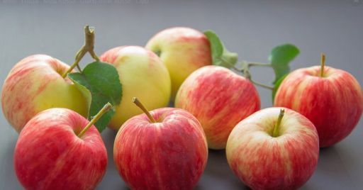 Conservazione della frutta: impianti ad atmosfera controllata e sicurezza Conservazione della frutta: impianti ad atmosfera controllata e sicurezza