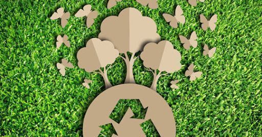 Ambiente e rifiuti: novità e scadenze utili Ambiente e rifiuti: novità e scadenze utili