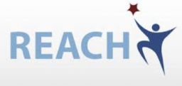 Il regolamento REACH e l’identificazione delle sostanze Il regolamento REACH e l’identificazione delle sostanze
