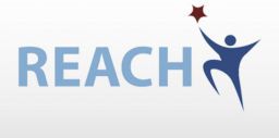 Il regolamento REACH e il piano nazionale della prevenzione Il regolamento REACH e il piano nazionale della prevenzione