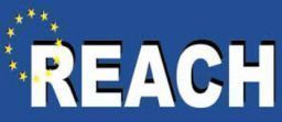 Regolamento Reach e utilizzatori a valle: criticità, supporto e indagini Regolamento Reach e utilizzatori a valle: criticità, supporto e indagini