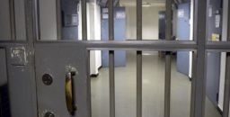 La prevenzione dei rischi biologici per gli operatori penitenziari La prevenzione dei rischi biologici per gli operatori penitenziari