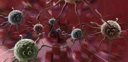 Rischi cancerogeni: quando il rischio non ha un’etichetta Rischi cancerogeni: quando il rischio non ha un’etichetta