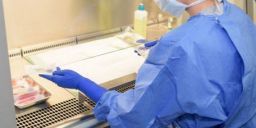 Rischi e prevenzione nell’utilizzo di chemioterapici e antiblastici Rischi e prevenzione nell’utilizzo di chemioterapici e antiblastici