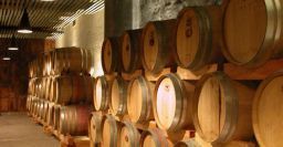 I principali rischi per i lavoratori nelle cantine vinicole I principali rischi per i lavoratori nelle cantine vinicole