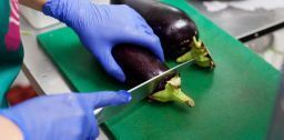 Sicurezza alimentare: come prevenire i rischi di contaminazione Sicurezza alimentare: come prevenire i rischi di contaminazione