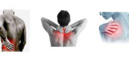 Come rilevare le patologie osteo-articolari dei lavoratori? Come rilevare le patologie osteo-articolari dei lavoratori?