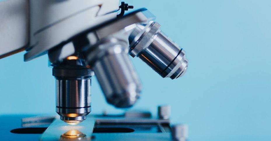 Le sostanze pericolose e i programmi di monitoraggio biologico Le sostanze pericolose e i programmi di monitoraggio biologico