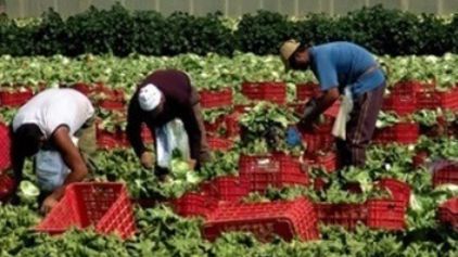 Un’indagine sulla percezione del rischio dei lavoratori immigrati Un’indagine sulla percezione del rischio dei lavoratori immigrati