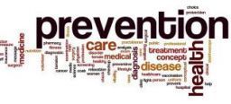 Strategie, priorità e sviluppo del Piano Nazionale della Prevenzione Strategie, priorità e sviluppo del Piano Nazionale della Prevenzione