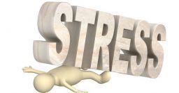 Valutazione dello stress: criticità e problematiche organizzative Valutazione dello stress: criticità e problematiche organizzative