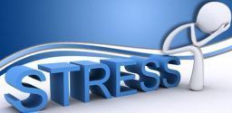 Rischio stress: proposta di aggiunta di un nuovo titolo al Testo Unico Rischio stress: proposta di aggiunta di un nuovo titolo al Testo Unico