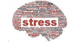 Rischio stress: un’indagine tra lavoratori, RLS e datori di lavoro Rischio stress: un’indagine tra lavoratori, RLS e datori di lavoro