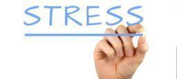 Stress lavoro correlato: un rischio da gestire insieme Stress lavoro correlato: un rischio da gestire insieme