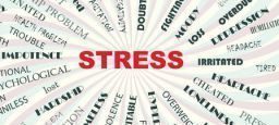 Fase propedeutica della valutazione del rischio stress lavoro-correlato Fase propedeutica della valutazione del rischio stress lavoro-correlato
