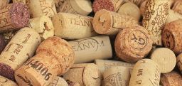 Il processo della valutazione dei rischi nelle cantine vinicole Il processo della valutazione dei rischi nelle cantine vinicole