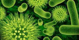 Il rischio di diffusione dei virus negli ambienti di lavoro Il rischio di diffusione dei virus negli ambienti di lavoro