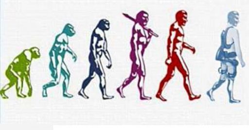 Prevenzione dei DMS: gli esoscheletri sono la soluzione giusta? Prevenzione dei DMS: gli esoscheletri sono la soluzione giusta?