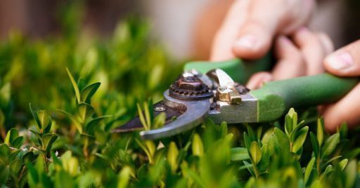 Articolo di eLearning News