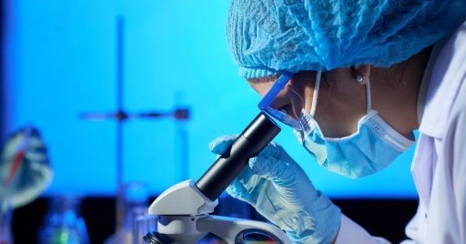 L'ILO adotta nuove linee guida sui rischi biologici nel mondo del lavoro L'ILO adotta nuove linee guida sui rischi biologici nel mondo del lavoro