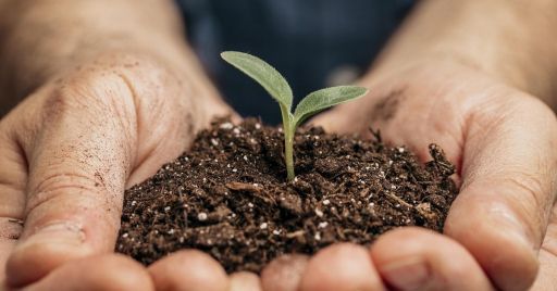 Infortuni in agricoltura: confermato il trend decrescente Infortuni in agricoltura: confermato il trend decrescente