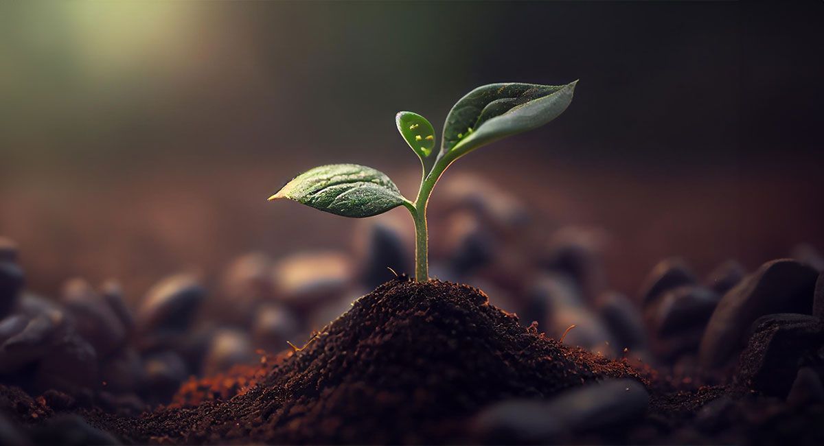 Investire per la sostenibilità Investire per la sostenibilità