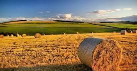 Il futuro dell'agricoltura e la sicurezza e la salute sul lavoro Il futuro dell'agricoltura e la sicurezza e la salute sul lavoro