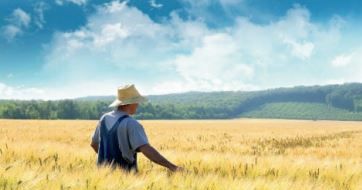 Un approccio integrato alla valutazione dei rischi da allergie da pollini