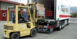 Imparare dagli errori: i carrelli elevatori e i problemi di carico Imparare dagli errori: i carrelli elevatori e i problemi di carico