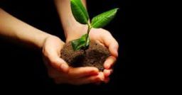 Sicurezza e salute nelle micro e piccole imprese Sicurezza e salute nelle micro e piccole imprese