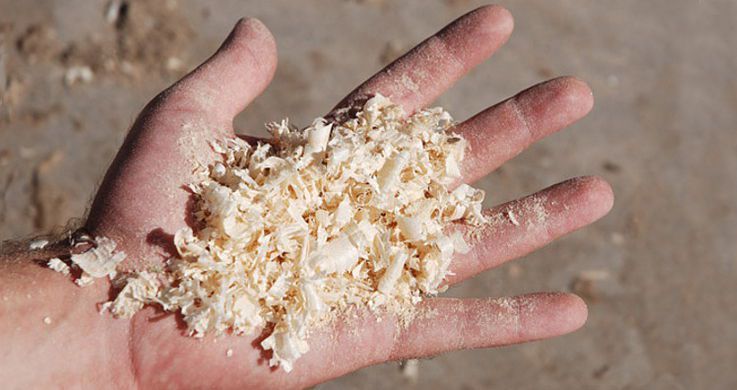 L’esposizione a polvere di legno e i tumori ai polmoni L’esposizione a polvere di legno e i tumori ai polmoni
