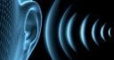 PARE: programma aziendale di riduzione dell’esposizione del rumore PARE: programma aziendale di riduzione dell’esposizione del rumore