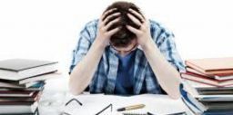 Rischio stress: l’analisi organizzativa della situazione di lavoro Rischio stress: l’analisi organizzativa della situazione di lavoro