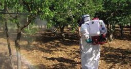 Rischio chimico: l’esposizione a prodotti fitosanitari Rischio chimico: l’esposizione a prodotti fitosanitari