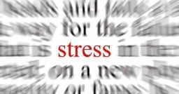 Imparare dagli errori: perché non affrontare lo stress? Imparare dagli errori: perché non affrontare lo stress?