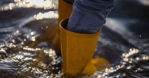 Articolo di eLearning News