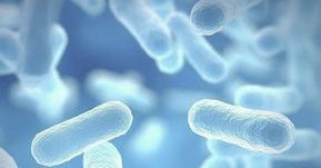 Articolo di eLearning News