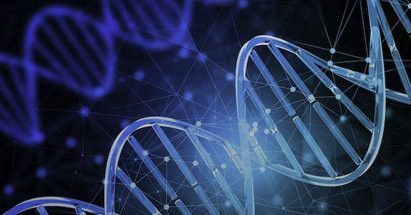 L’importanza di misure garantistiche nella raccolta di materiale biologico L’importanza di misure garantistiche nella raccolta di materiale biologico
