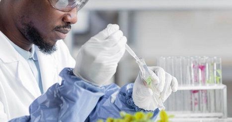 Come migliorare la prevenzione e tutela della salute nelle biotecnologie? Come migliorare la prevenzione e tutela della salute nelle biotecnologie?